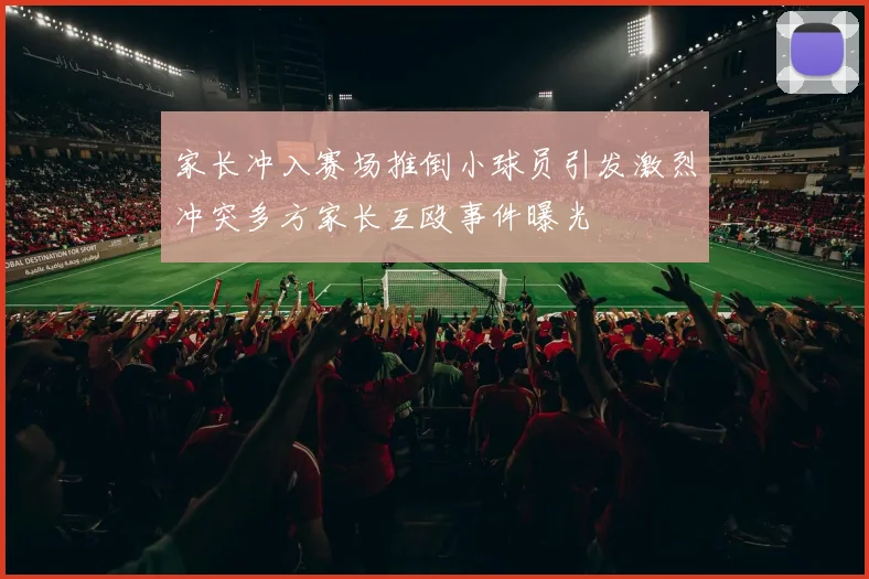 家长冲入赛场推倒小球员引发激烈冲突多方家长互殴事件曝光